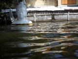 曼谷大水過 佛像水中坐