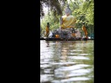 曼谷大水過 佛像水中坐
